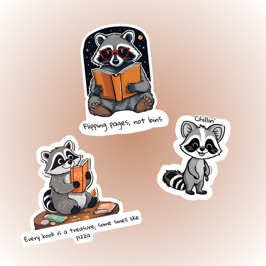 Raccoon Sticker Pack of 3